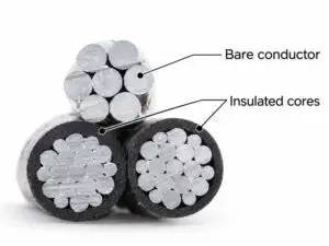 Real aerial bundle sample showing two insulated cores and one bare stranded member with callouts